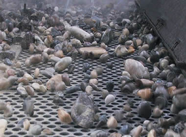 Round perforated vibrating screen mesh on the machine with several stones on it.